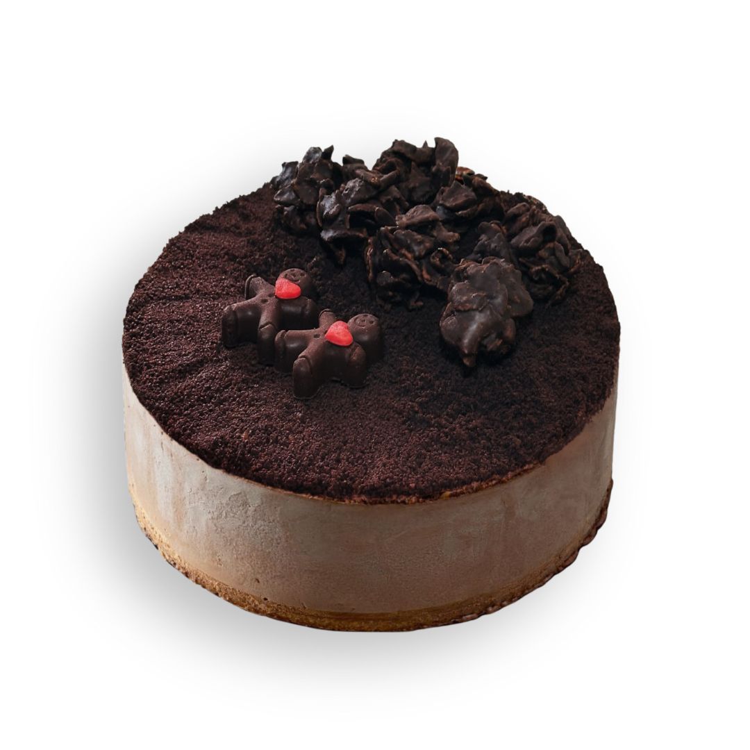 Valrhona Chocolate Ice Cream Cake