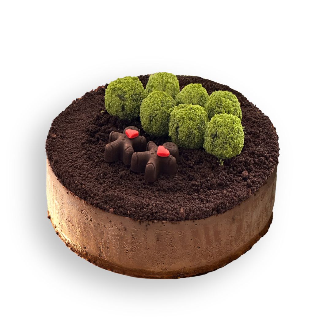 Baileys Valrhona Chocolate Ice Cream Cake